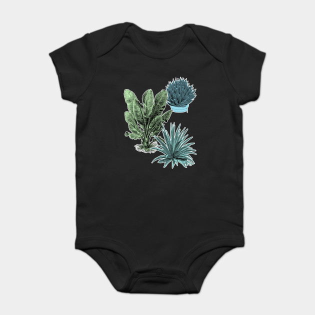 Tropical Plants | Succulent Banana Leaves